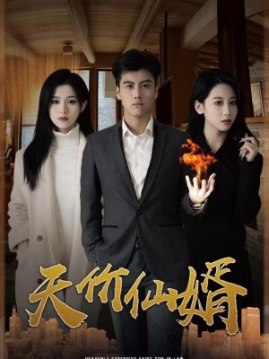 Chàng Rể Thiên Kim